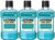 Listerine Mouth Wash – Cool Mint  (750 ml)